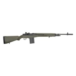 Springfield Armory M1A MA9109 For Sale